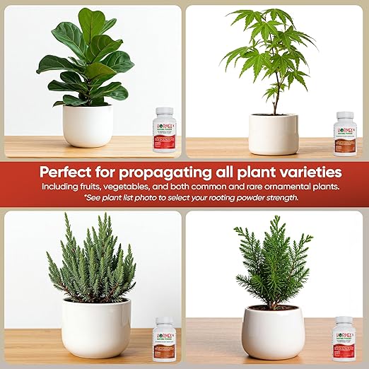 Hormex Rooting Powder #8,#16 (0.80-1.60% IBA) for Hardwood Plants, Trees & Shrubs - High Strength Root Powder, Root Stimulator for Plants, Rooting Hormone for Cuttings, Cloning, & Propagation (2 Pack)
