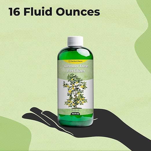 Liquid Lemon Tree Fertilizer by Perfect Plants | Citrus Plant Food for Fast Growth and Happy Live Lemon Trees | 6-3-3 Formula Rich in Nitrogen and Other micronutrients (16oz)