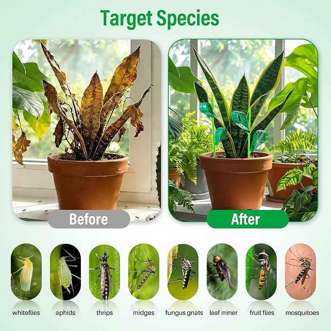 100 Pcs Gnat Sticky Traps for Plants, Sticky Traps for Gnats with 20 Stakes to Control, Aphids, Plant Bug, Mosquito Bits and Whiteflies(Green)