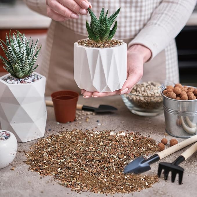Doter Succulent & Cactus Soil Potting Mix 1qt, Chunky Dirt with Fast Draining Fits for Bonsai, Terrarium and Houseplant