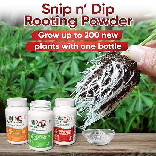 Hormex Rooting Powder Combo #1, 3, 8 (0.10-0.8 IBA) for Delicate and Common Houseplants to Semi-Hardwood - Root Powder, Root Stimulator for Plants, Rooting Hormone for Cuttings, Cloning & Propagation