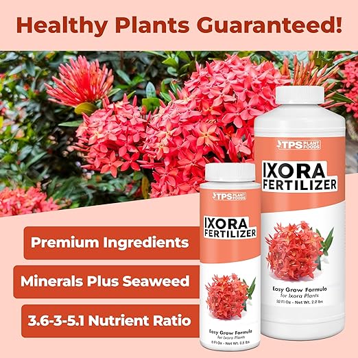 Ixora Fertilizer – Liquid Plant Food for More Blooms, Rich Green Leaves & Stronger Root Development, 8 oz