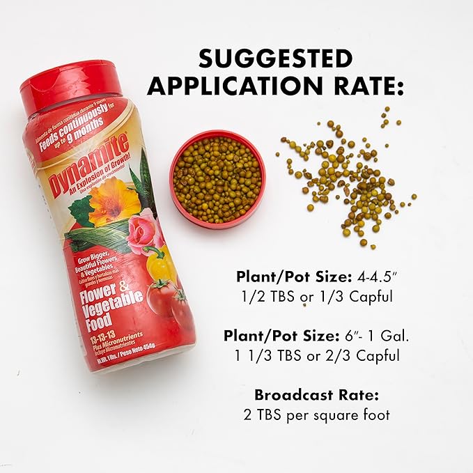 Dynamite Complete Plant Food Flower & Vegetable1 lb