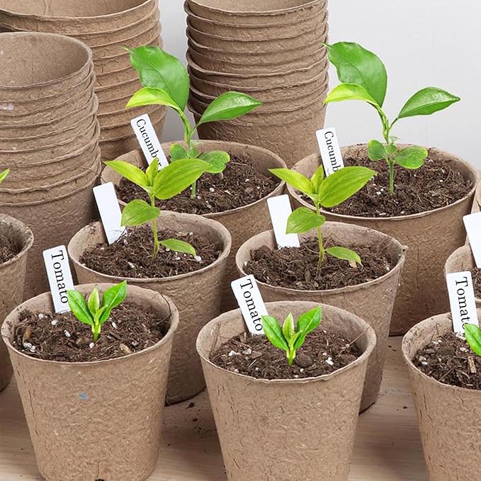 500 Pack Plant Labels, 4 Inch Potted Plant Name Tags Plastic, Seedlings Seed Markers Nursery Plant Stake Tag with Marking Pen for Outdoor Indoor Garden Patio Flower Vegetable, White