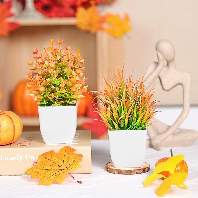 Der Rose 2 Pack Small Fall Fake Plants Mini Artificial Potted Plants Fall Table Office Decor for Home Desk Bathroom Decoration