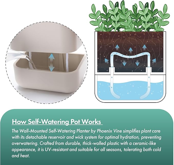 Phoenix Vine 6.5 Inch Wall Mounted Self-Watering Planter Pots for Indoor Houseplants and Herbs | Hanging Planter for Window Sills, Bathroom Walls, Home & Office Décor, Oatmeal, Set of 3, 01-C-G-3
