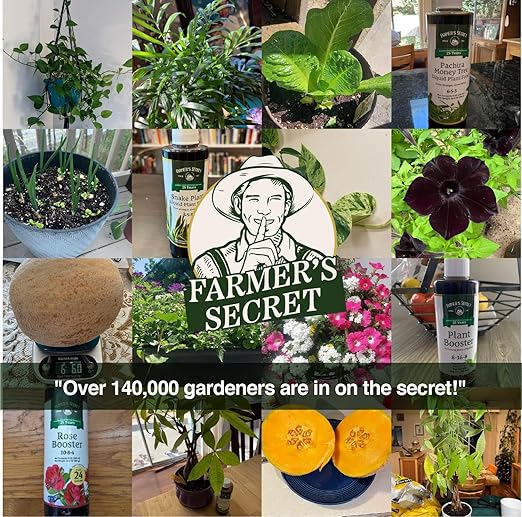 Farmer’s Secret Plant Booster (32oz) - Super Concentrated - High Phosphorus Formula for Early Stage Plants - Promotes Root Growth