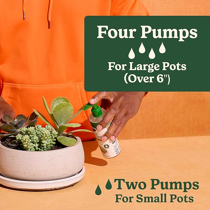 Miracle-Gro Indoor Potting Mix (8 qt.) and Indoor Plant Food (8 fl. oz.) for Cactus & Succulent - Bundle for Growing and Fertilizing Indoor Cacti and Succulents