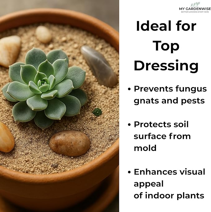 GARDENWISE Fine Sand for Plants – Horticultural Sand for Succulents, Cactus, Potting Mixes, Terrariums & Decorative Indoor Gardens, Made in USA (1 Quart - 2.8 lbs)