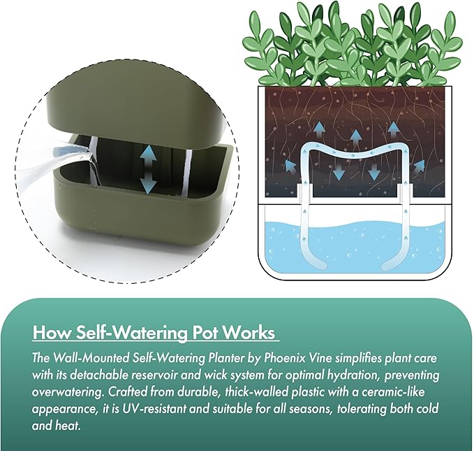 Phoenix Vine 6.5 Inch Wall Mounted Self-Watering Planter Pot for Indoor Houseplants and Herbs | Hanging Planter for Window Sills, Bathroom Walls, Home & Office Décor, Olive, Set of 2, 01-C-F-2