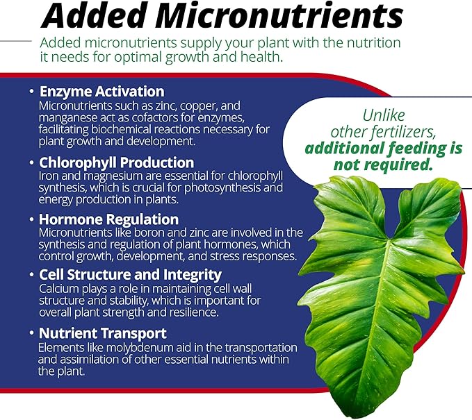 Jack's Classic 15-30-15 Houseplant Special Water-Soluble Fertilizer with Micronutrients to Green-Up and Increase Blooms in Houseplants, 8oz