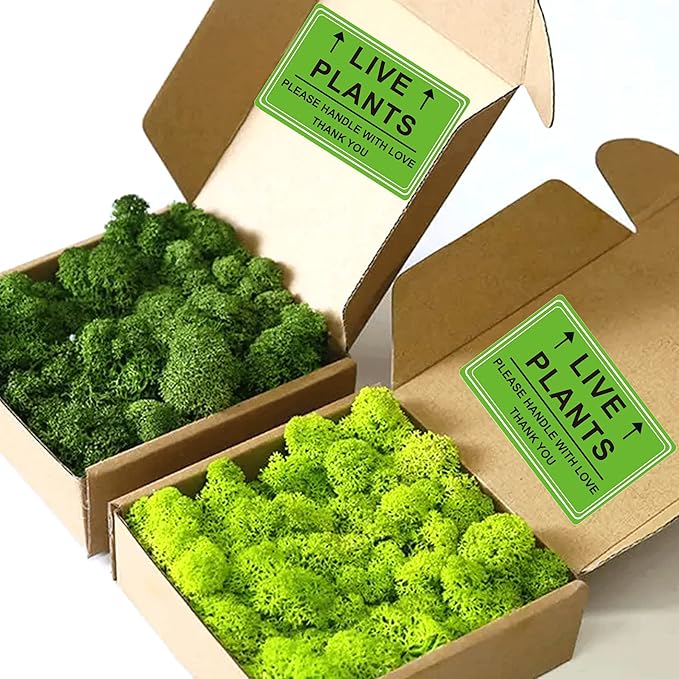 Green Live Plants Stickers for Shipping 2x3 inch Please Handle with Love Stickers Fragile Shipping Labels for Warehouse Pallet Garden Centers,Landscaping,Nurseries 250pcs Live Plants Sticker per roll