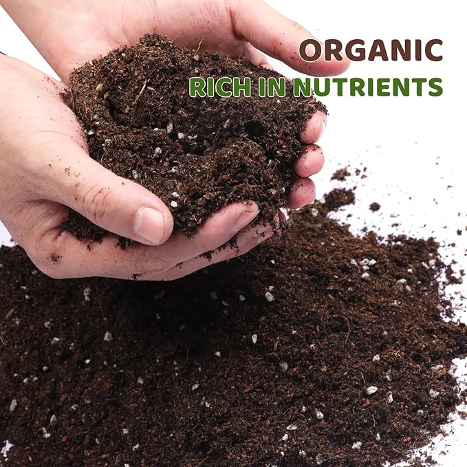 Doter Premium Lucky Bamboo Soil Mix 2qt, Indoor Plants Potting Mix for All Potted Luncky Bamboo, Promote Healthy Growth and Longevity