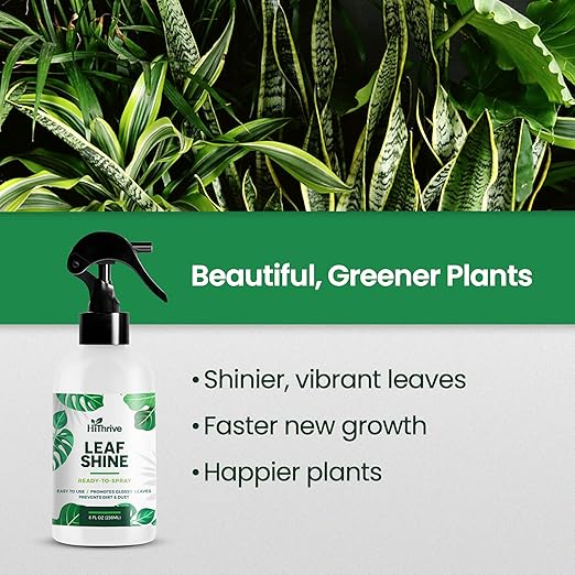 8oz Leaf Shine Spray for Indoor Plants - Plant Leaf Cleaner and Shine for Indoor Houseplants - Makes Leaves Shiny, Vibrant & Healthy