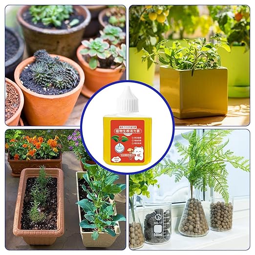 Plant Growth Enhancer Supplement | High-Performing 50ml Root Stimulator For Plants | Growth Booster Plant Enhancer For Succulents Houseplants Flowers