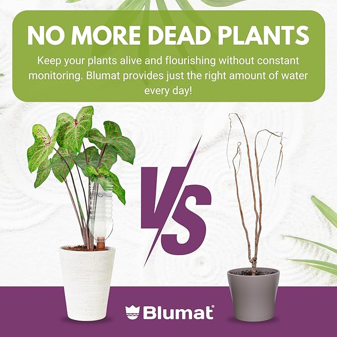 Blumat Plant Watering Devices - Easy Self Watering Planter Insert for Indoor Plants - Bottle Adapter - Prevents Overwatering and Underwatering for Healthy Growth - 1 Pack