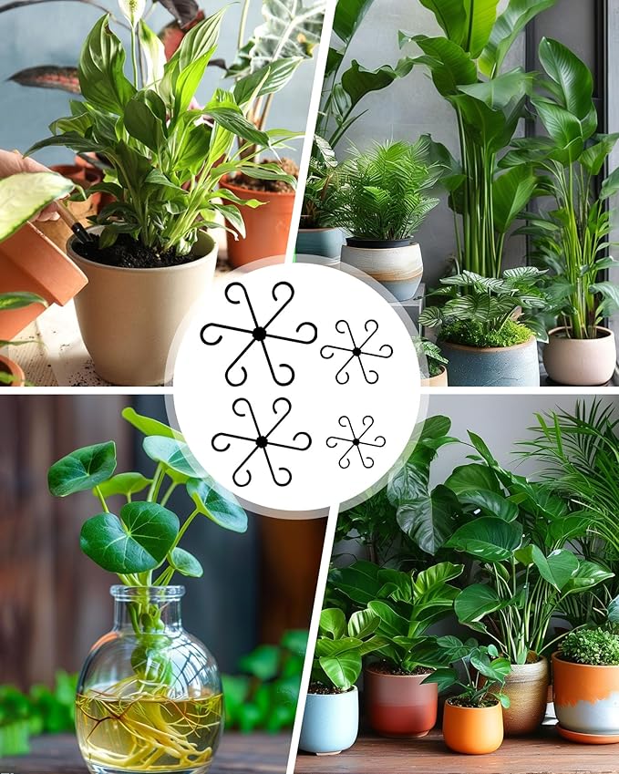 12Pcs Plant Stem Support,4 Sizes Reusable Monstera Plant Support Stakes Durable Plastic Climbing Houseplant Stem Hook Holders for Flower Plants Indoor Outdoor Growth Accessories