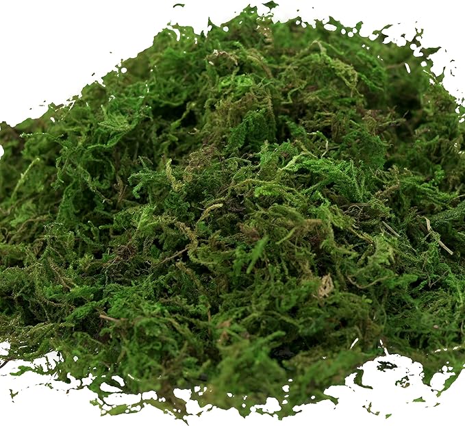 USMOLA Artificial Moss 16oz – Fake Moss for Crafts, Fairy Gardens, Wedding & Party Decor, Centerpieces & Potted Plants (Fresh Green, 455g)