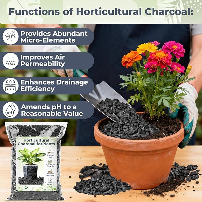 Sukh Horticultural Charcoal for Plants - 1.4Qt. Natural Earth Regulated Supplement for Potting Soil Indoor Plants, Organic Biochar, Succulent Soil, Paphiopedilum, Bonsai, Terrarium