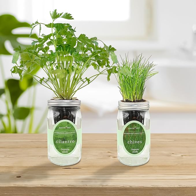 2-Pack Hydroponic Mason Jar Herb Garden Kit, Indoor Herb Garden Self-Watering Starter Kit, New Christmas Gift for Mom (Cilantro,Chives)