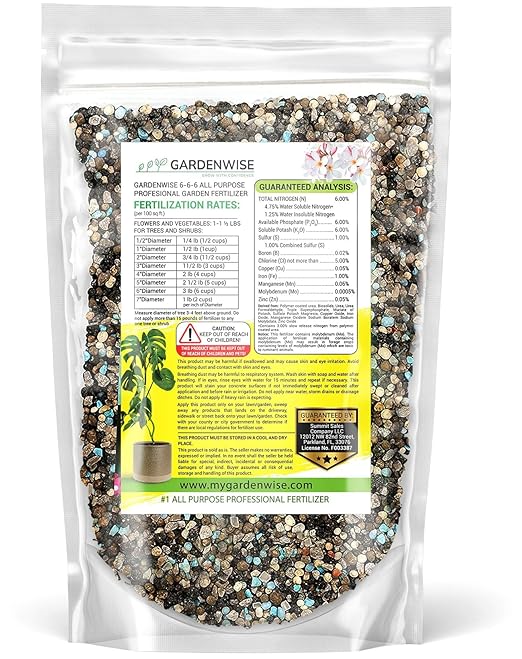 Gardenwise 6-6-6 All-Purpose Professional Plant Food Fertilizer; Ideal for Winter Care & Spring Feeding, Perfect Balanced NPK for Indoor and Outdoor Plants (10 QUARTS)