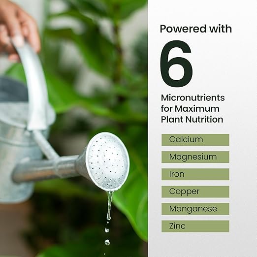 32oz Fiddle Leaf Fig Plant Food - Makes 192 Gallons of Fertilizer, Liquid Houseplant Fertilizer for Ficus Plants, Ideal Fiddle Leaf Fertilizer, 6-2-4 NPK Ficus Plant Food for Strong, Healthy Growth