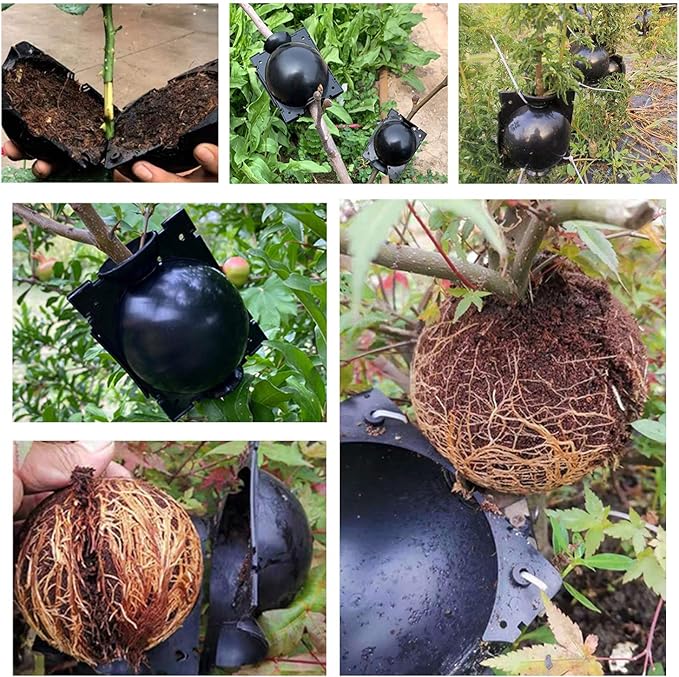 Reusable Plant Rooting Grow Box - Plant Rooter Device-Rooting Ball Grafting Tools-High Pressure Root Propagation Containers - Root Booster for Fast Growth Reproduction Pod.(20 pcs – S)