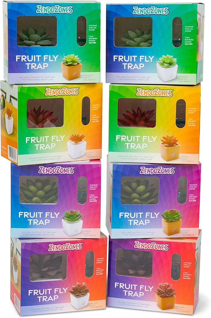 ZendoZones Succulent Fruit Fly Trap – Mellow Molly Design with White Base – Eco-Friendly Indoor Fruit Fly Control – Easy-to-Use Decorative Trap