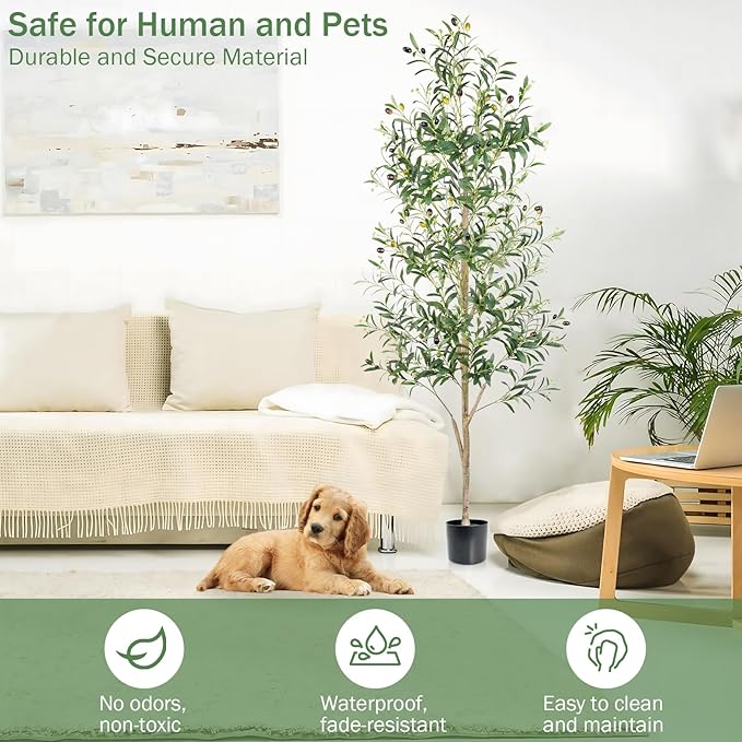 Caxchiling Faux Olive Tree 6FT, Artificial Potted Tree with Planter, Silk Plants Indoor Outdoor, Lifelike Olive Plants with Natural Wood Trunk, Fruits and Buds, Home Office Decor, 1 Pack