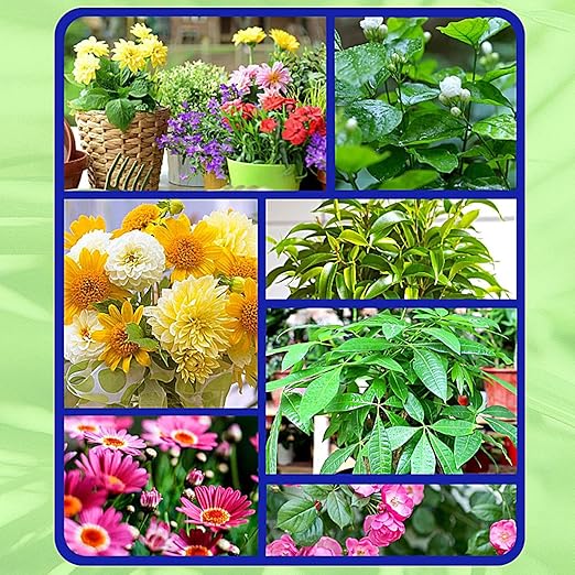 Plant Rooting Powder - Root Growth Stimulator, Cutting Propagation Aid | Clone Starter, Plant Hormons Booster, Soil Amendment, Seed Germination Enhancer, Rapid Rooting Formula for Cuttings & Seedlings