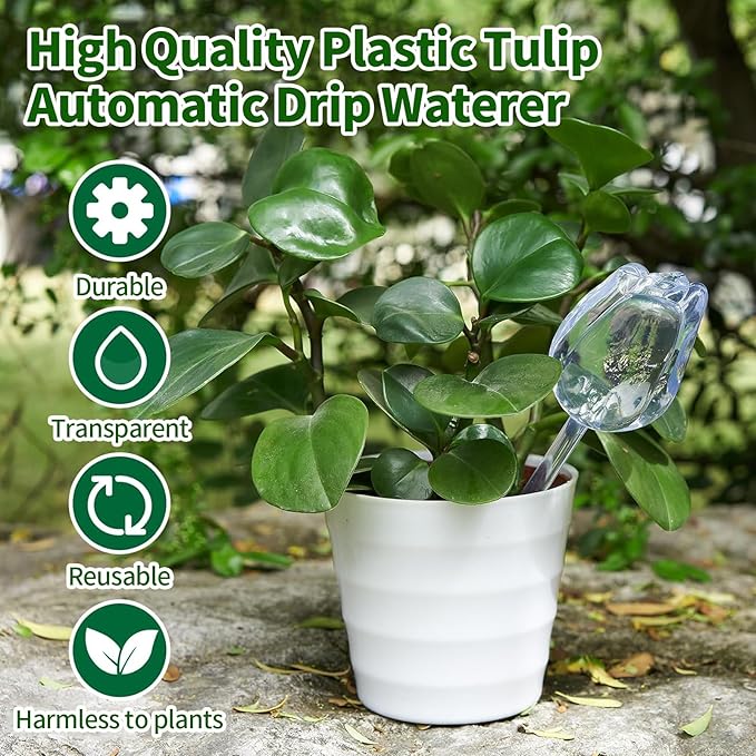 TJE Self Watering Glass Globes for Plants - Automatic Plant Waterer Bulbs with Rainbow Colors, Indoor/Outdoor Drip Irrigation Device for Vacation (Champagne, Pink, Purple, Clear)