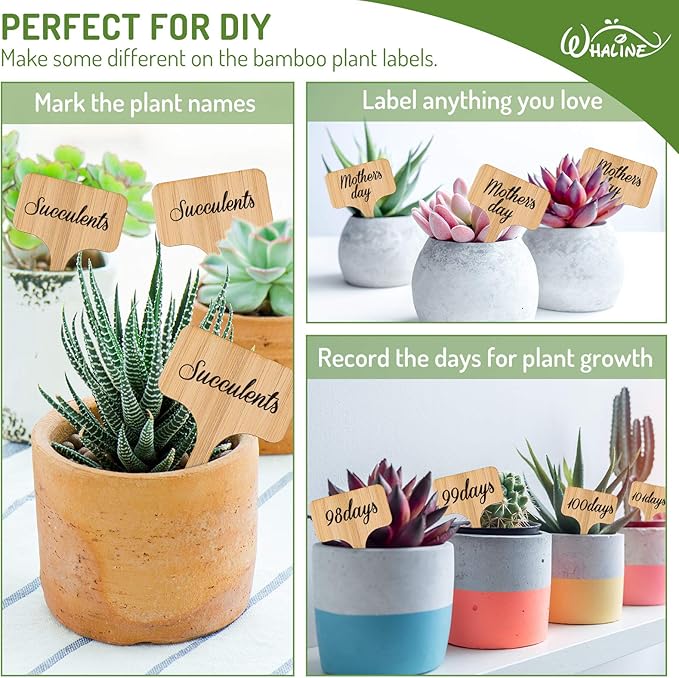 Whaline 50Pcs Bamboo Plant Labels with A Marker Pen, T-Type Wooden Plant Sign Tags Garden Markers for Seed Potted Herbs Flowers Vegetables(6 x 10 cm)