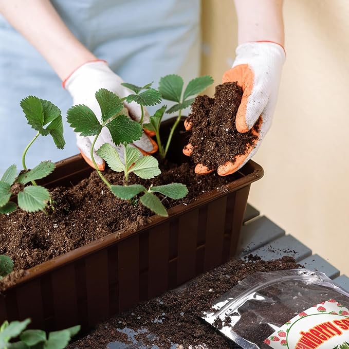 Doter Organic Strawberry Soil Mix 2qt, Indoor Plants Potting Mix for All Potted Strawberry, Grow Healthy houseplants Indoors
