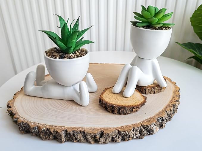 Small Fake Plant Office Decor for Women - Desk Decorations - Cute Office Decor - Office Plants Decor for Wall Shelf - Succulents Fake Plants Home Decor - Office Desk Accessories