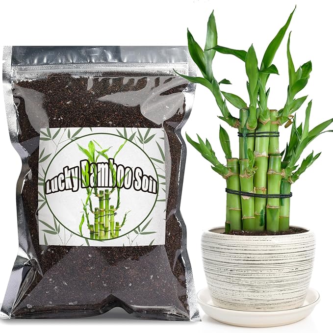 Doter Premium Lucky Bamboo Soil Mix 2qt, Indoor Plants Potting Mix for All Potted Luncky Bamboo, Promote Healthy Growth and Longevity
