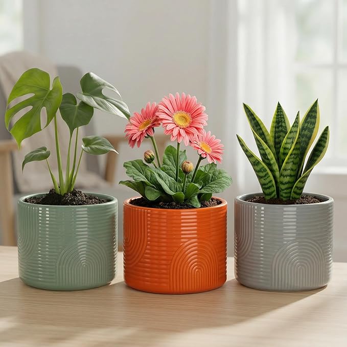 6 Inch Ceramic Plant Pot – Decorative Indoor Planter (No Drainage Hole) for Succulents, Herbs & Houseplants – Modern Tabletop Desk Planter – Stone Gray