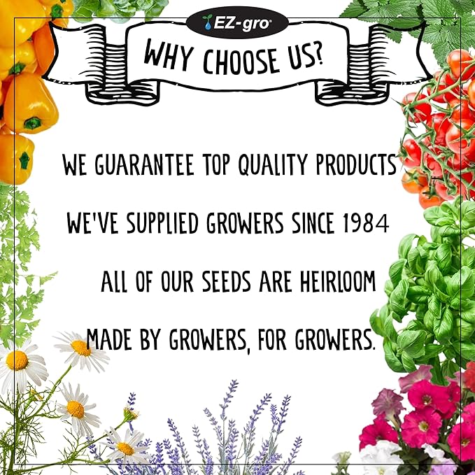 Lavender Mason Jar Grow Kit by EZ-gro | Our Mason Jar Indoor Herb Garden is Herbs in a Jar with Lavender Seeds | EZ-gro Lavender Plant Kit is a Hydroponic Gardening Systems (Cilantro)