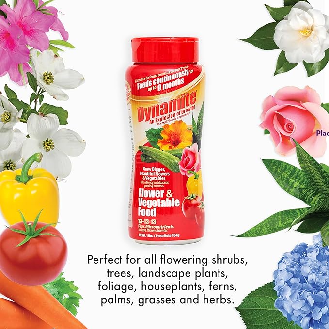 Dynamite Complete Plant Food Flower & Vegetable1 lb