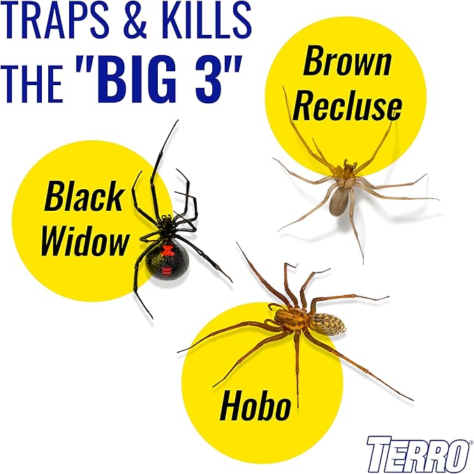 TERRO Spider & Insect Trap [T3206-10] Insect Traps,(Pack of 120)