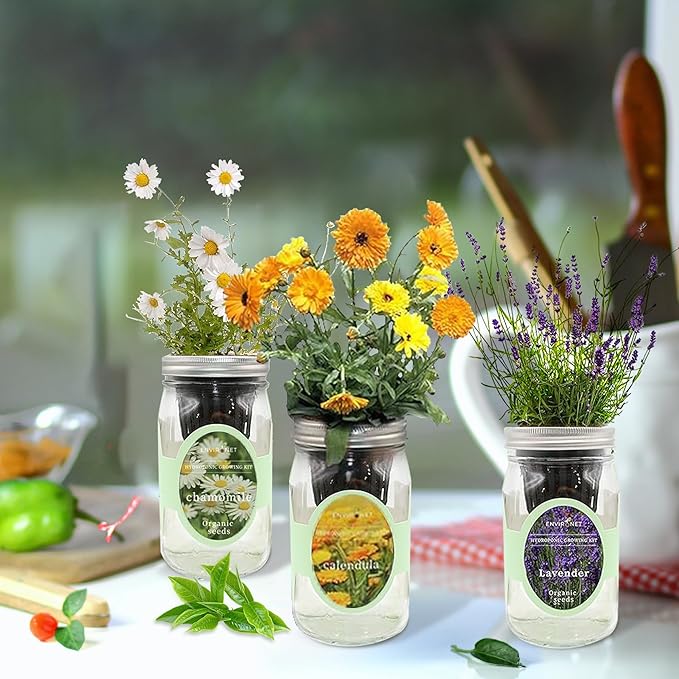 Hydroponic Herb Growing Kit Set, Self-Watering Mason Jar Herb Garden Starter Kit Indoor, New Christmas Gift for Mom (Calendula, Chamomile & Lavender)
