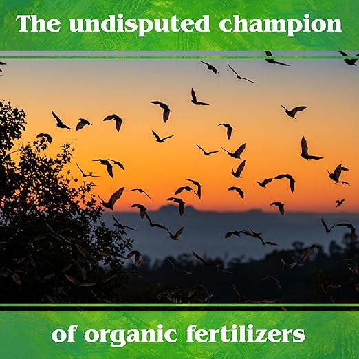 Down To Earth All Natural Fertilizers Organic Bat Guano - High Nitrogen Plant Food for Vegetative Growth 7-3-1, 2 lb