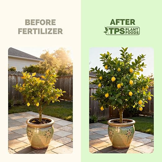Lemon Tree Fertilizer – Liquid Plant Food for More Fruit, Better Flowering & Stronger Root Development, 32 oz