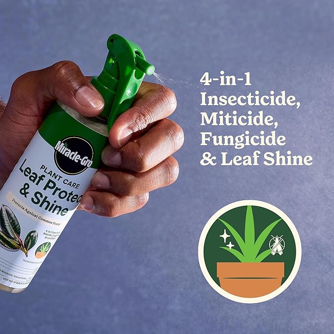 Miracle-Gro Plant Care Leaf Protect and Shine, 4-in-1 Insecticide, Miticide, Fungicide and Leaf Shine Spray for Indoor Plants, 8 fl. oz., 2-Pack