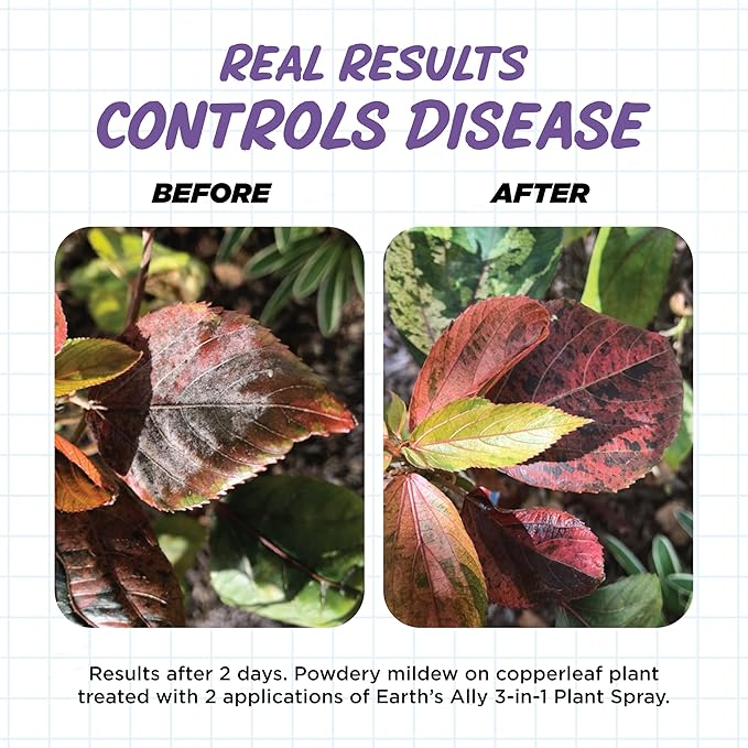 Earth's Ally 3-in-1 Plant Spray 32 oz Conc. Makes 3 gal | Better Than Neem Oil | Insecticide, Fungicide & Spider Mite Control for Organic Gardening, Pest Repellent for Indoor & Outdoor Gardening