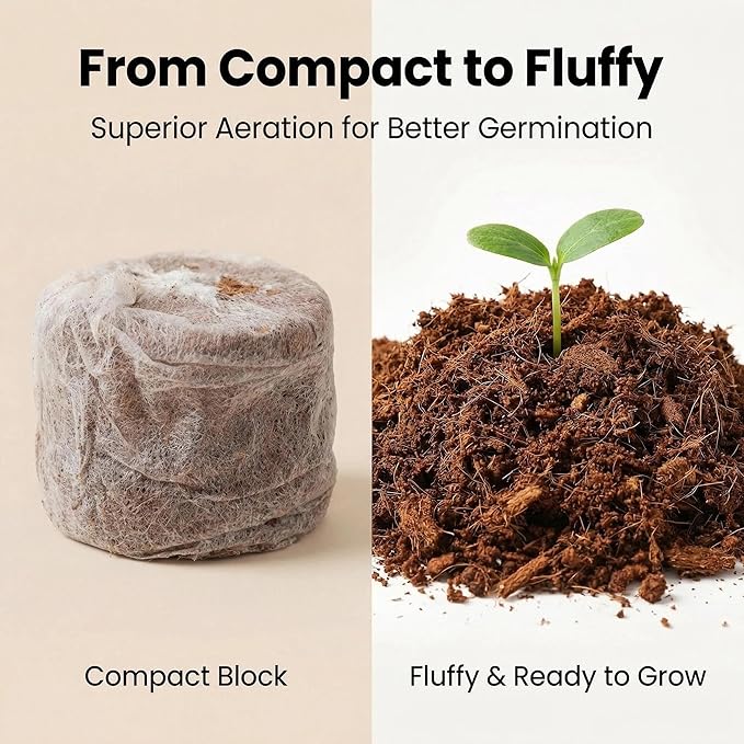 Basil Grow Kit – All-in-One Indoor Herb Garden with Tin Planter, Seeds & Soil, Easy to Grow for Kitchen, Kids, Home, Office, Gift
