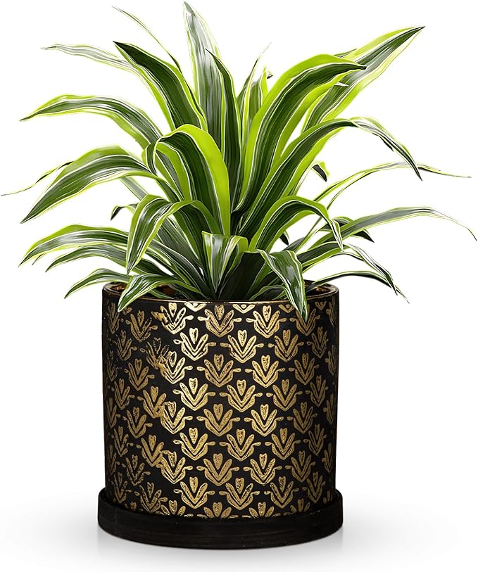 Ceramic Plant Pots with Drainage Hole & Saucer, Black & Gold Ceramic Planter Pot for Indoor & Outdoor Use, 5.5" Small Plant Pots Decorative Flowerpots for Succulents, Herbs, Cactus, Orchids Planter