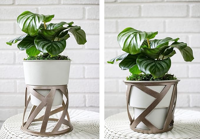 The HC Companies 5 inch Indoor Plant Pot with Stand – Small Curio Planter in Cottage Stone with a Geometric Stand in a Copper Finish