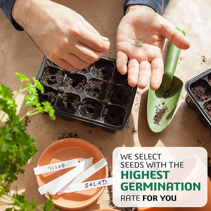 Meekear 10 Kit Non-GMO Growing into Thyme, Lavender, Chamomile, Dill, Chives, Cilantro, Rosemary, Basil, Parsley, Sage Indoor/Outdoor for Kitchen Windowsill Gardening Gift