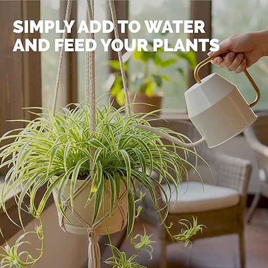 Spider Plant Fertilizer – Liquid Plant Food for Longer Runners, Greener Leaves & Healthy New Growth, 32 oz