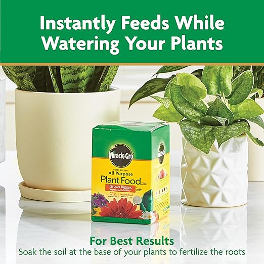 Miracle-Gro Water Soluble All Purpose Plant Food - Fertilizer For All Indoor or Outdoor Plants including Roses, Flowers, Vegetables, Houseplants, Trees, and Shrubs, 1.5 lbs.